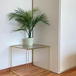 & Joy Of Life In * Makarska