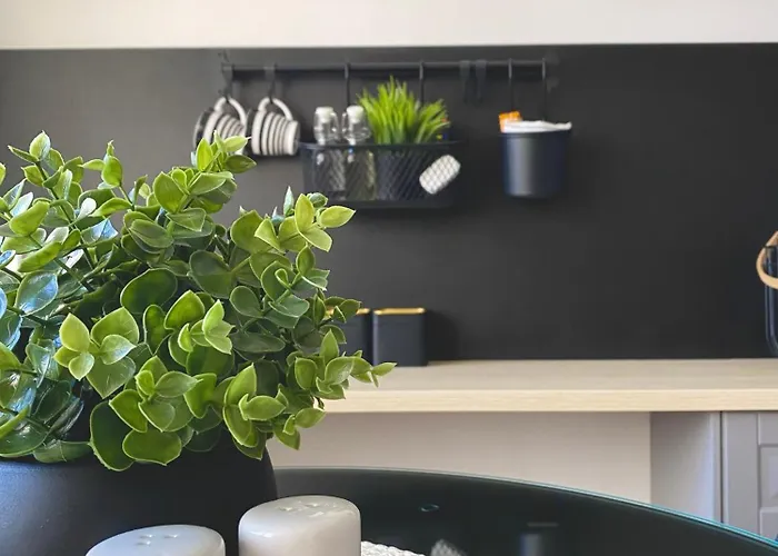 & Joy Of Life In * Makarska