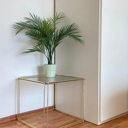 & Joy Of Life In * Makarská