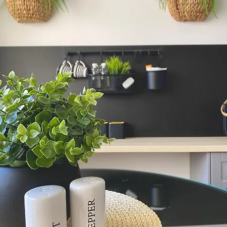 & Joy Of Life In * Makarská