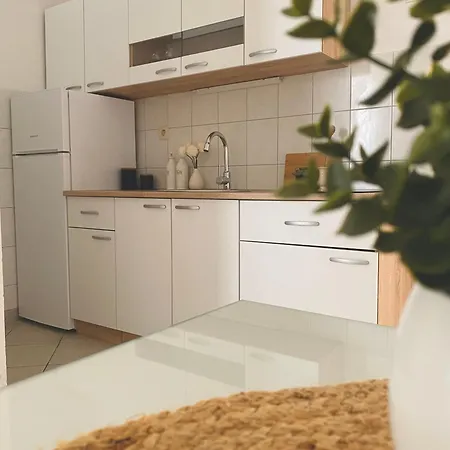 & Joy Of Life In Apartment Makarska