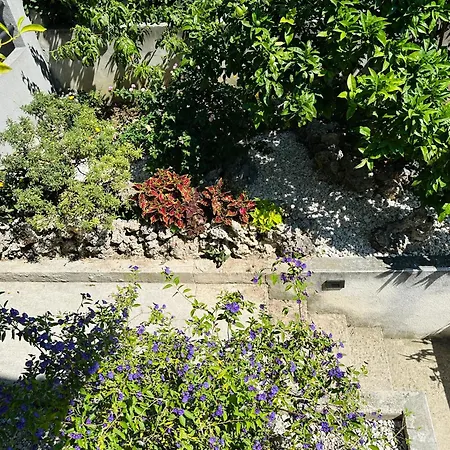 Apartman & Joy Of Life In