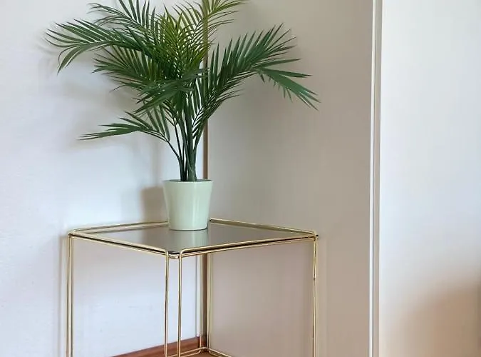 & Joy Of Life In * Makarska