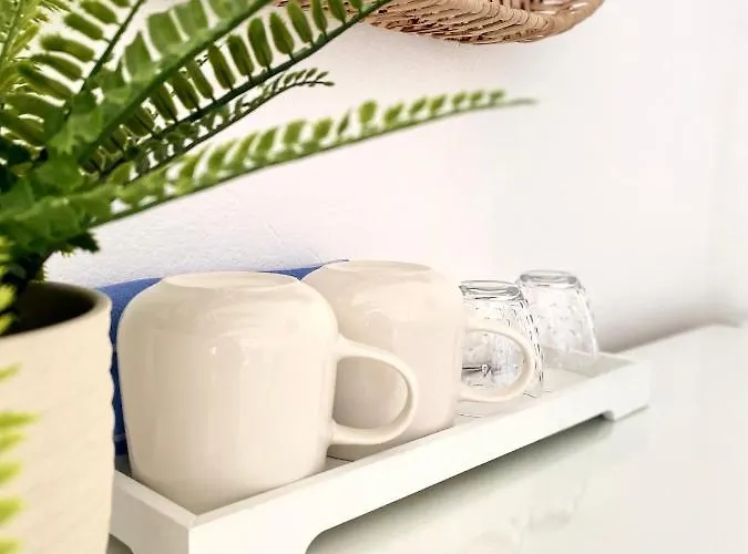 & Joy Of Life In Apartman *