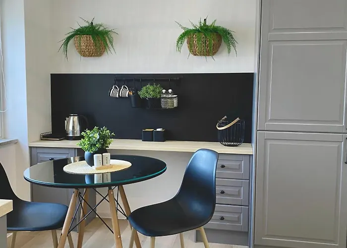 & Joy Of Life In Makarska